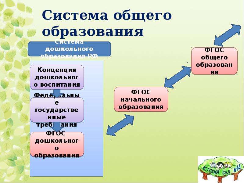 Система общего образования. Система основного образования. Учебный проект системы образования. Дошкольная организация в системе общего образования-.