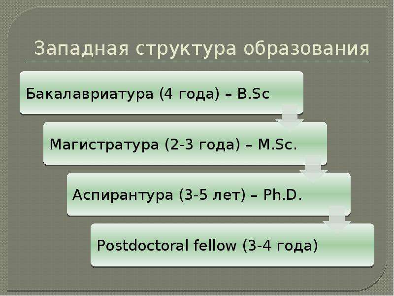 Западные структуры. Музыкальная структура Запада. Структура образования в Брянской области в %. Структура образования артём.