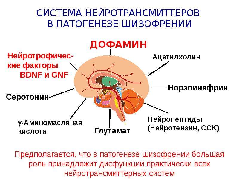 Презентация на тему шизофрения