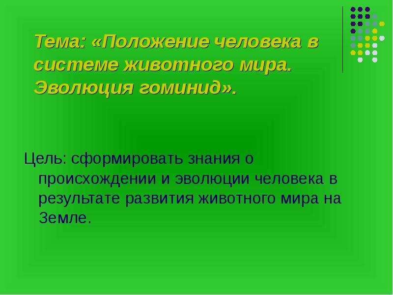 Эволюция гоминид. Схема эволюции гоминид.