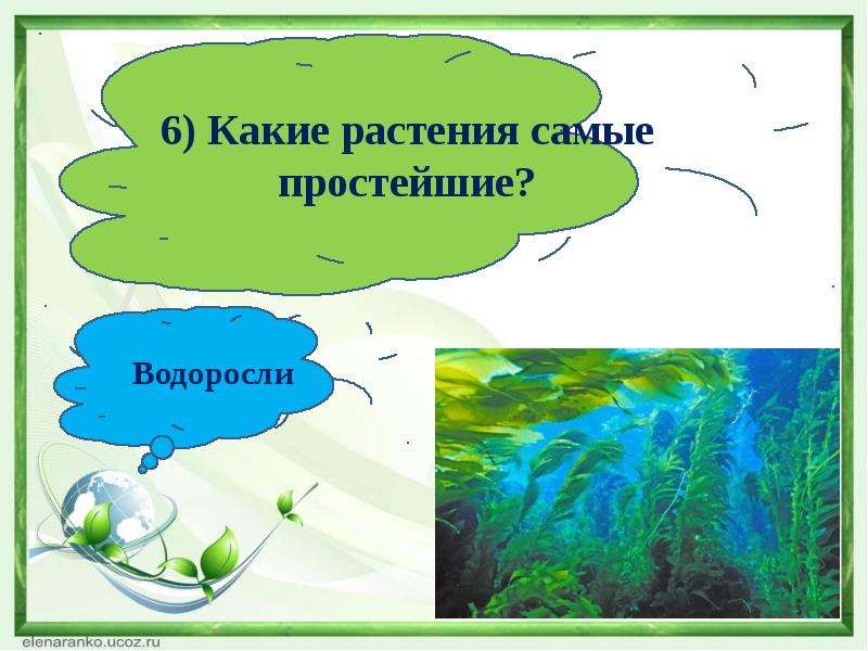 Растения пресных водоемов 2 класс начальная школа 21 века презентация