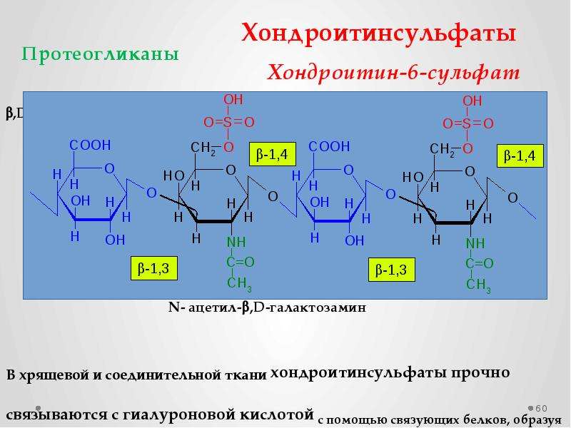 Схема синтеза протеогликанов