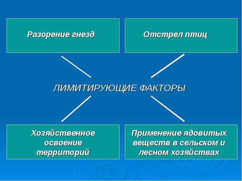 Лимитирующий фактор леса. Лимитирующий фактор. Лимитирующие факторы леса. Лимитирующие факторы для птицы. Лимитирующие факторы это в биологии.