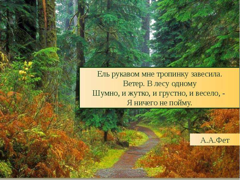 Фет ель рукавом анализ. Фет ель рукавом мне тропинку завесила. Афанасий Афанасьевич Фет ель рукавом мне тропинку завесила. Афанасий Фет ель рукавом. А. А. Фет. 