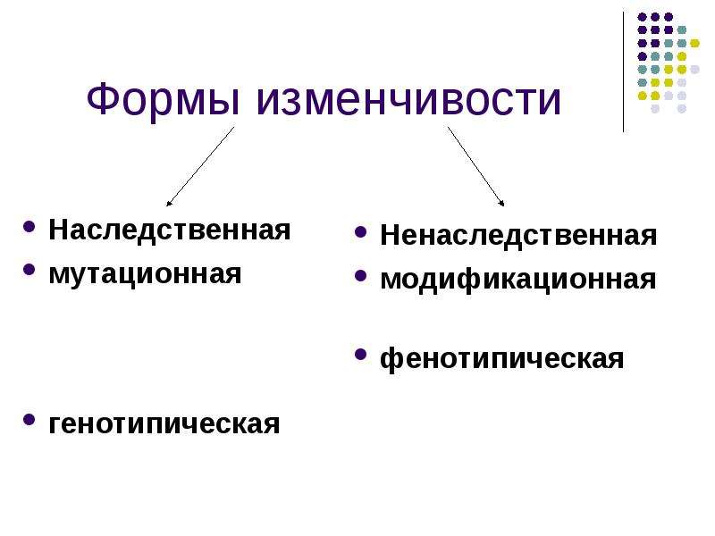 Презентация на тему основные формы изменчивости