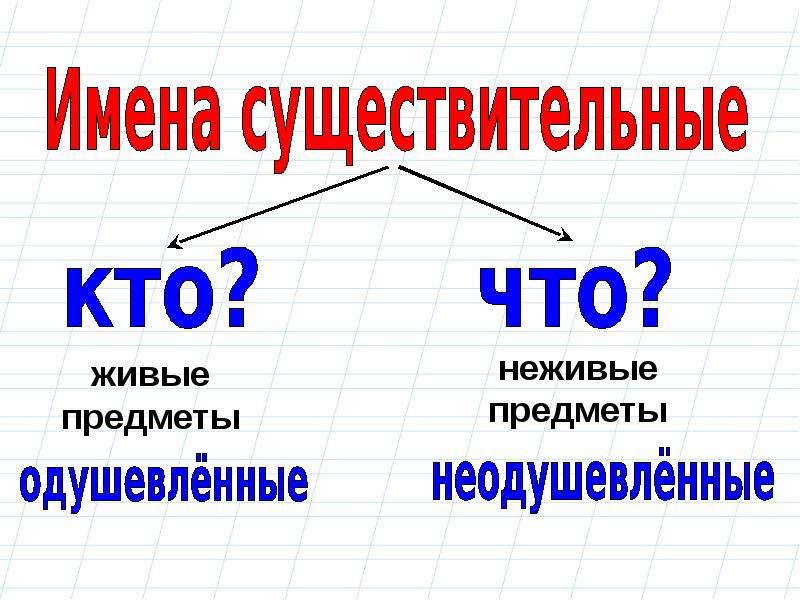 Презентация существительное 3 класс