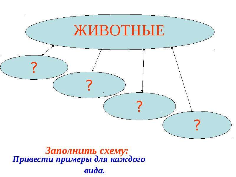 Заполните схему животные. Заполните схему приведите примеры. Заполните схему рассказы о животных. Заполните схему рассказы о животных 3 класс. Рассмотри схему приведи примеры водных объектов каждой группы.