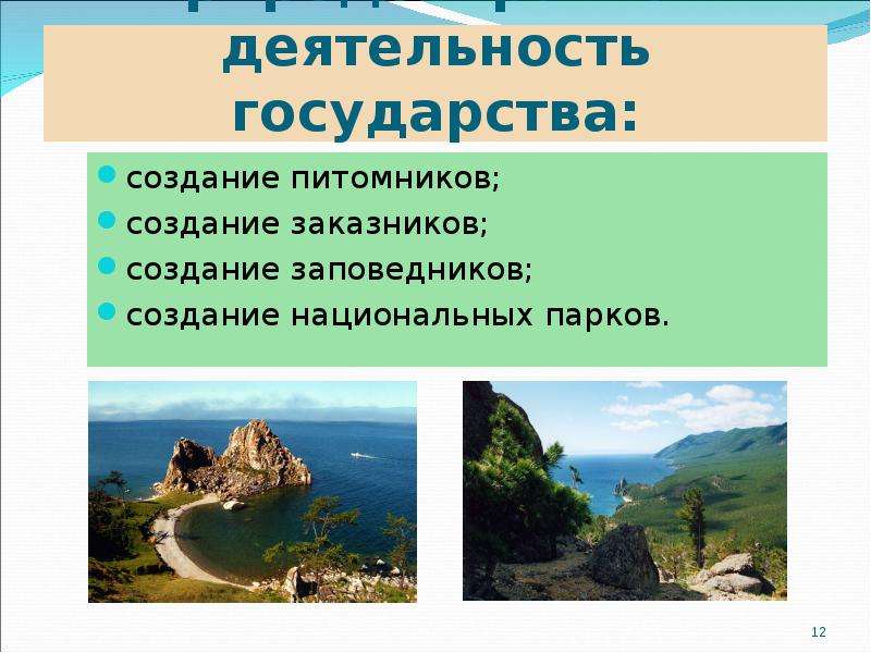 Для чего создают заповедники. Создание заказников, питомников. Зачем во всех странах мира создают заповедники 5 предложений. В национальном парке возможны а природоохранная деятельность. Зачем во всех странах мира создают заповедники объем до 5 предложений.