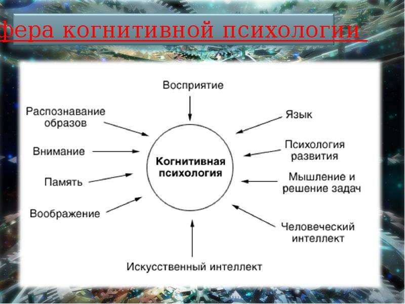 Когнитивная психология концепции. Когнитивная психология. Когнитивная психология это в психологии. Человек в когнитивной психологии. Когнитивное направление в психологии.