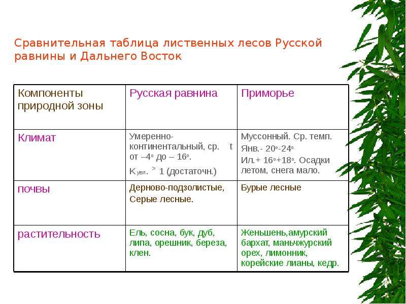 Таблица востока. Климат русской равнины таблица. Муссонные леса дальнего Востока таблица. Растительность лесов России таблица. Зоны русской равнины таблица 8 класс география.