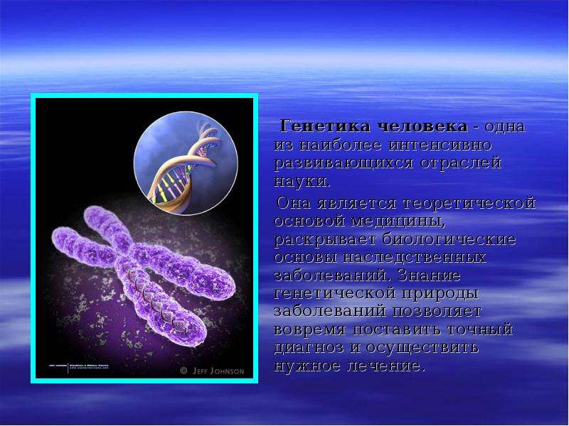 Генетика человека. Биологические основы наследственности человека. Генетика человека презентация. Цитаты о генетике. Наследственную природу имеют