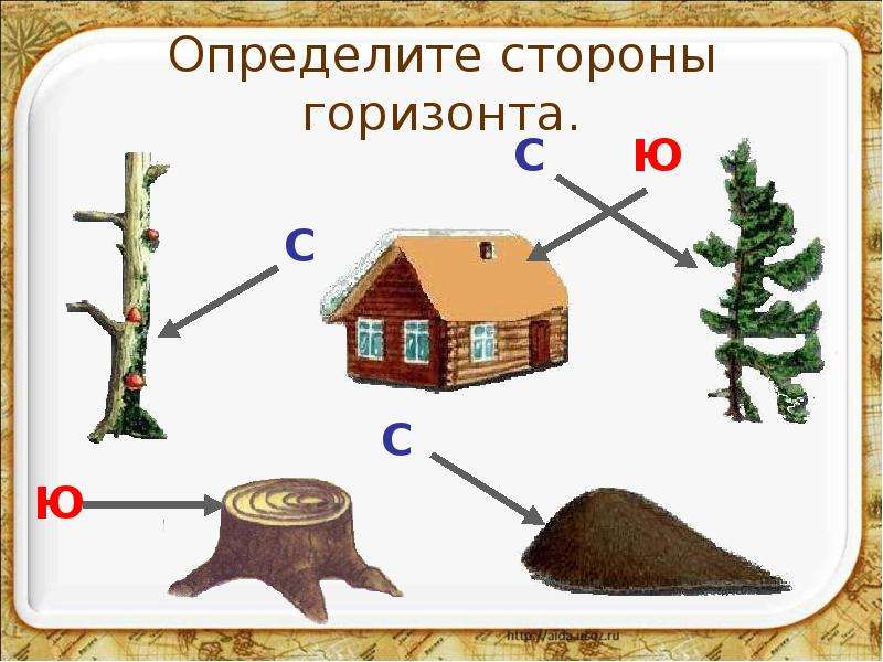 Ориентация на местности презентация 2 класс окружающий мир плешаков