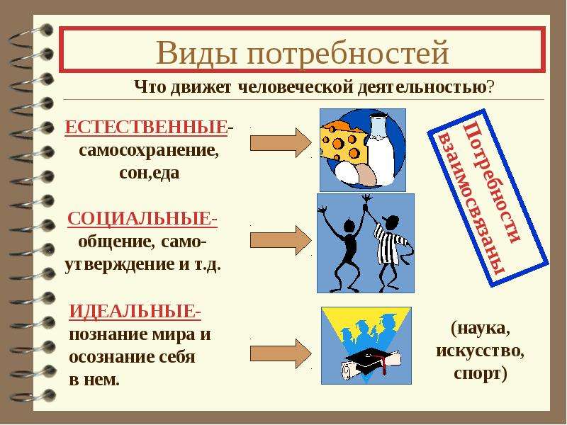 Основные виды потребностей. Виды потребностей. Виды потребностей человека. Виды потребностей и примеры. Виды потребностей человека с примерами.