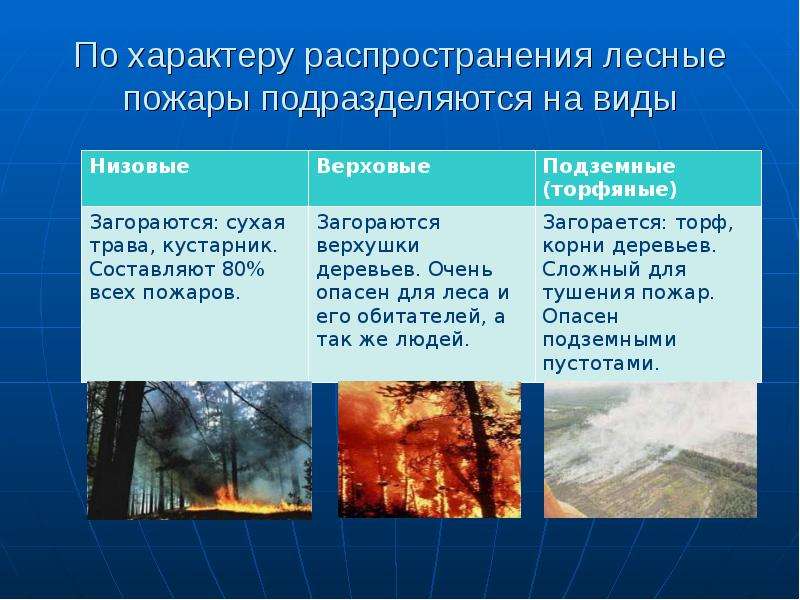 Характеристика лесных пожаров обж. Лесные пожары подразделяются на. Классификация природных пожаров. Пожары подразделяются на виды. Разновидности лесных пожаров.