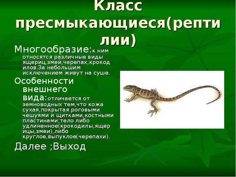 Земноводные и пресмыкающиеся 7 класс биология презентация