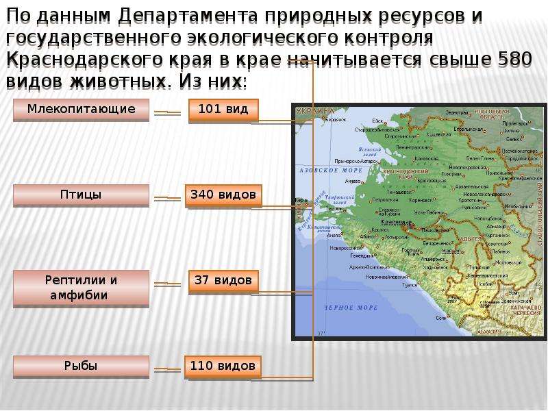 Рейтинг мест краснодарского края