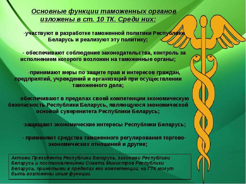 Органы республики беларусь. Структура ГТК РБ. Структура таможенных органов РБ. Основные функции таможенных органов. Структура ГТК.