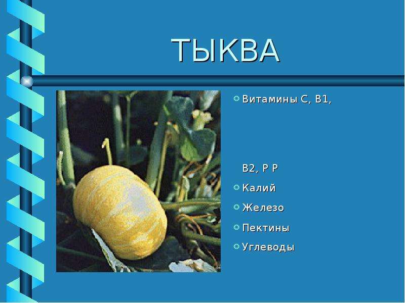 Калиев р. Тыква углеводы. Витамины в тыкве. Загадка про тыкву. 2 Класс технология тыква презентация.