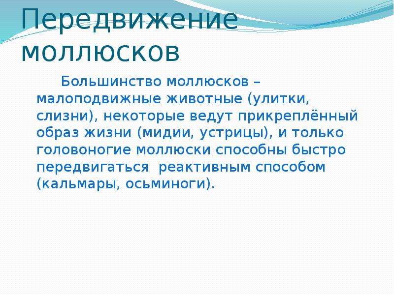 Способы передвижения моллюсков. Способ передвижения головоногих моллюсков. Локомоция моллюсков. Как передвигается моллююски.