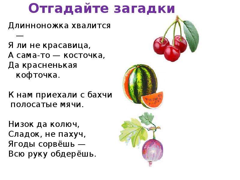 Угадай загадку ответ. Загадки про фрукты и ягоды. Загадки нам. Загадки про ягоды. Загадки про фрукты.