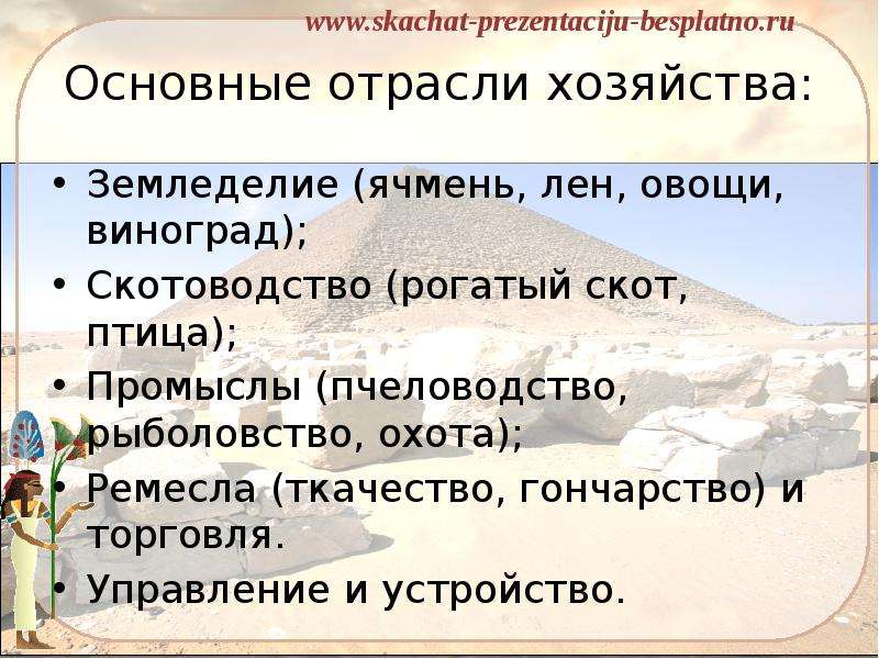 Сравните как вели хозяйство древние египтяне. Отрасли экономики Египта. Отрасли хозяйства в древнем Египте. Специализация Египта. Отрасли сельского хозяйства Египта.