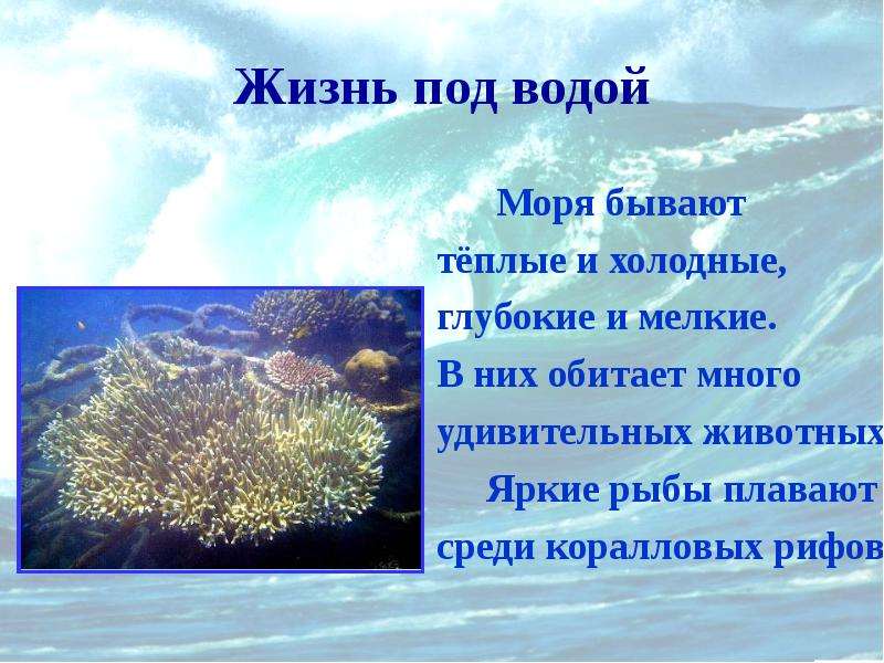 Презентация под водой. Сообщение жизнь под водой. Жизнь под водой для презентации. Удивительный мир под водой презентация.