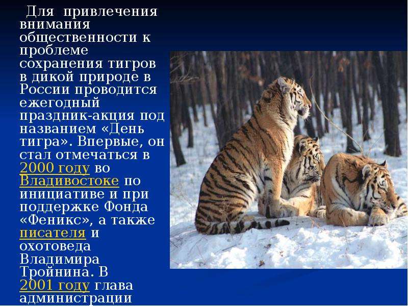 Для привлечения внимания общественности к проблеме сохранения тигров в дикой природе в России провод