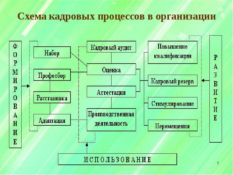 Кадровые процессы. Кадровые процессы в организации. Схема организационно-кадровых процессов организации. Схема кадрового процесса.