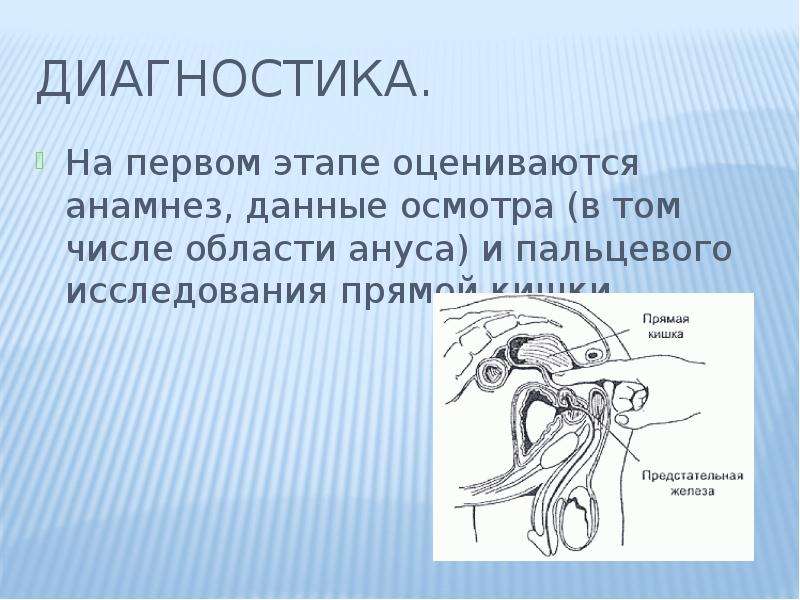 Исследование прямой кишки. Пальцевое исследование прямой кишки. Осмотр прямой кишки пальцевое исследование у женщин. Методы обследования пальцевое исследование прямой кишки аноскопия. Пальцевое исследование прямой кишки детская хирургия.