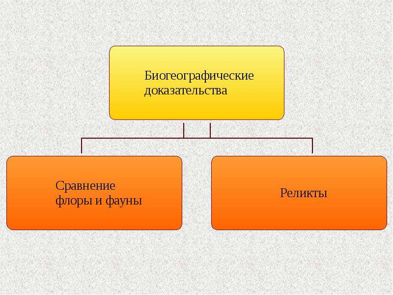 Сравни и докажи. Биогеографические доказательства эволюции реликты. Доказательства эволюции презентация. Биогеографы доказательство. Доказательства для презентации.