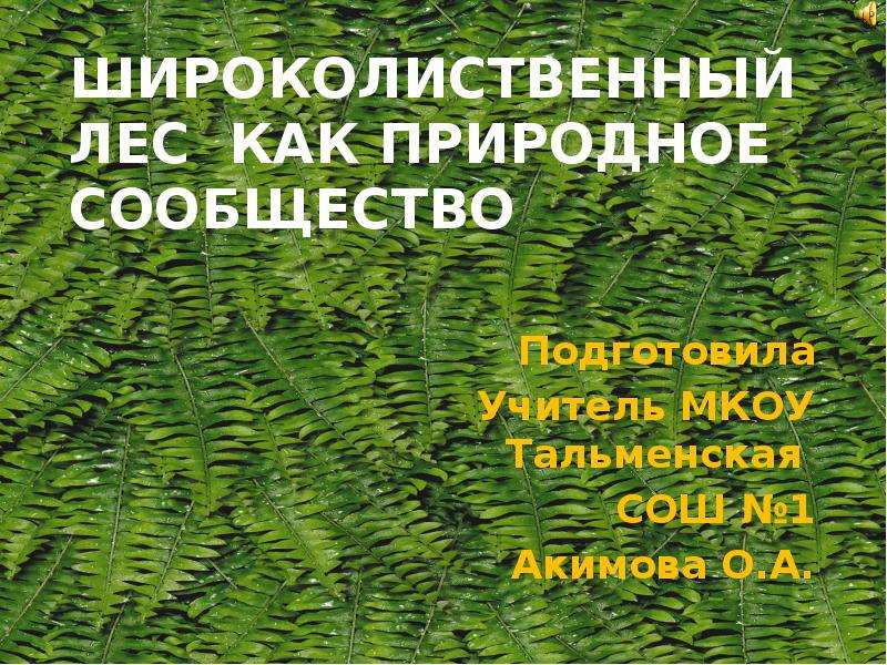 Природное сообщество широколиственного леса. Широколиственный лес как природное сообщество организмов. Широколиственный лес деятельность человека.