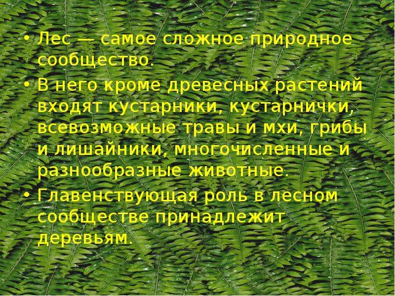 Сообщение о сообществе леса. Рассказ о природном сообществе. Рассказ о природном сообществе лес. Рассказ о природном сообществе леса. Рассказ о Лесном сообществе 3 класс.