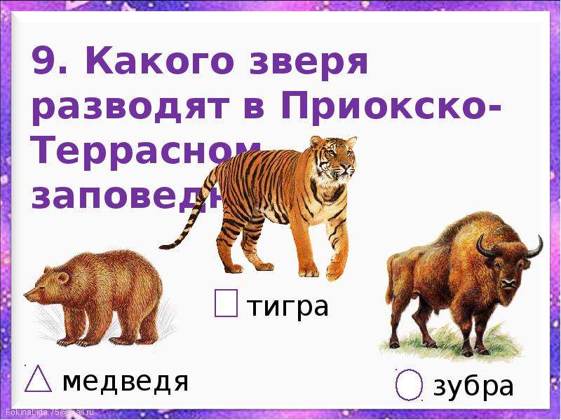 2009 какого животного. Животные какой род. Зверь какой род. Год какого зверя. Какие звени в Российской школе.