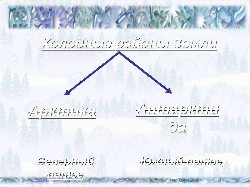 Холодные районы земли 1 класс. Холодные районы земли 1 класс окружающий мир.