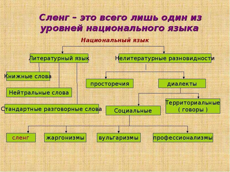 Составляющие национального языка. Разновидности сленга. Виды сленга схема. Виды сленга в русском. Виды сленга в английском языке.