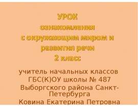 учитель начальных классов ГБС(К)ОУ школы № 487 Выборгского района Санкт-Петербурга Ковина Екатерина Петровна