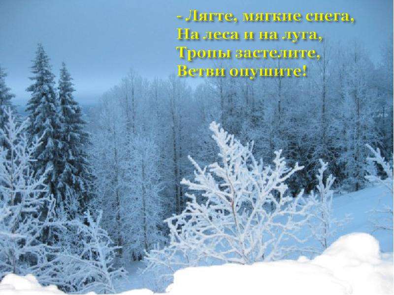 И вот сама идет волшебница зима. Скоро скоро на Луга лягут белые снега. Лягте мягкие снега на леса и на Луга. Скоро скоро на Луга лягут белые снега картинки. Автор название Разукрасилась зима.