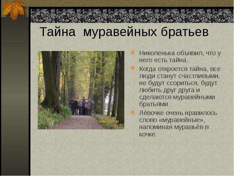 Какой характер у николеньки из рассказа детство. Какую тайну поведал Николенька своим братьям. В чем заключалась Главная тайна муравейных братьев. Тайна муравейного братства. Синквейн Николенька детство толстой.