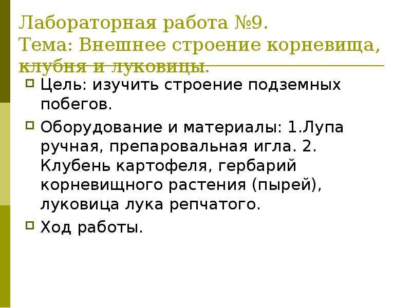 Лабораторная работа строение корневища. Внешнее строение корневища лабораторная работа. Внешнее строение луковицы лабораторная работа. Лабораторная работа внешнее строение корневища клубня и луковицы.