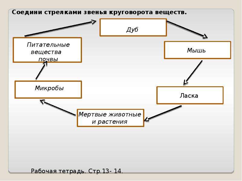 Соедини стрелками. Соедини стрелками звенья круговорота веществ. Перечислите основные звенья круговорота веществ. Звенья круговорота веществ 3 класс окружающий мир. Перечисли звенья круговорота веществ.