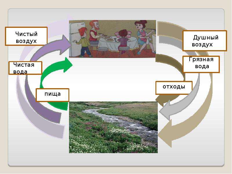 Душный воздух. Круговорот отходы в пищу 3 класс. Круговорот жизни в природе модель из картона. Круговорот жизни 3 класс рисунок детей. Чистый и грязный воздух схемы.