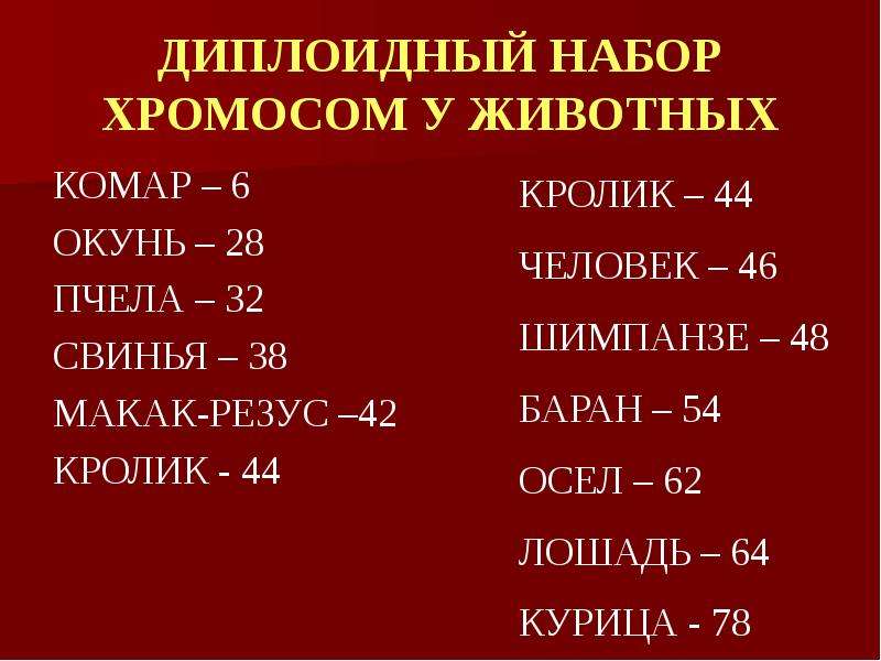 2 набора хромосом. Диплоидный набор хромосом. Диплоидный набор хромосом человека. Диплоидный набор хромосом у животных. Диплоидный набор диплоидный набор.