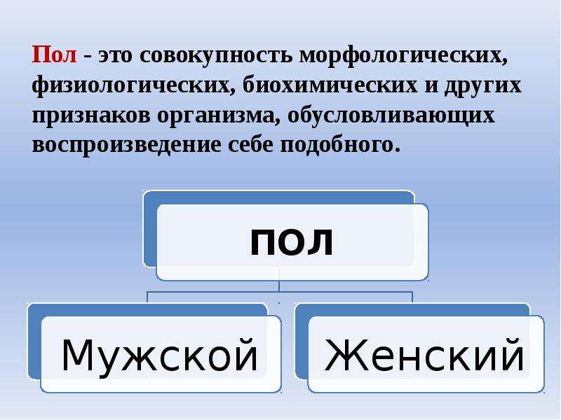 Презентация на тему генетика пола 10 класс