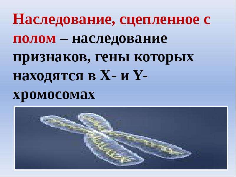 Презентация на тему генетика пола сцепленное с полом наследование 9 класс