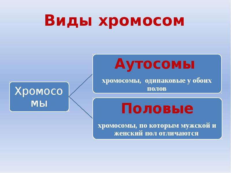 Оба специальный. Типы хромосом аутосомы. Виды хромосом половые и аутосомы. Как называются хромосомы одинаковые у обоих полов. Аутосомы генетика.