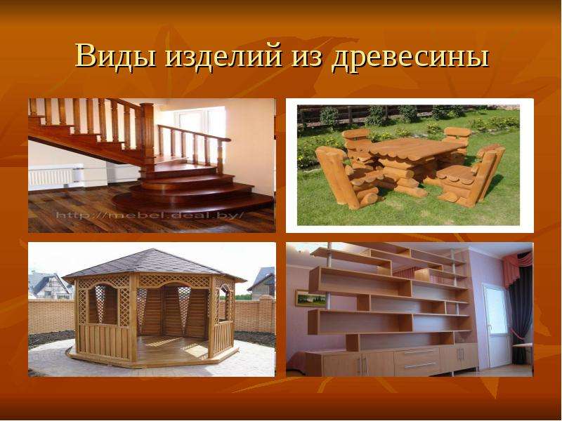 Проект по теме древесина