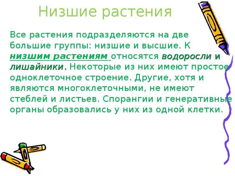 Список низших растений. Лишайники относятся к низшим растениям. К низшим растениям относят. Почему водоросли относятся к низшим. Водоросли относятся к низшим растениям так как.