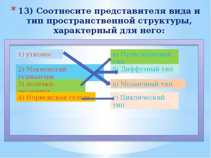 Виды представителей. Соотнесите представителей с их типом. Типы пространственных образований. Соотнесите действие и Тип прототипирования.