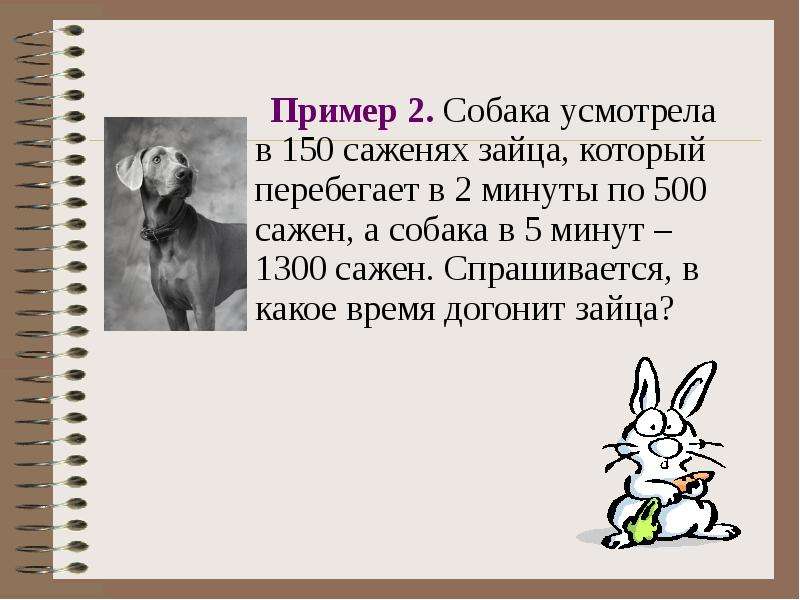 Догонит какое время. Собака усмотрела в 150 саженях зайца. Задача собака и заяц. Задача на 2 собаки. Задача про волка и зайца на скорость.