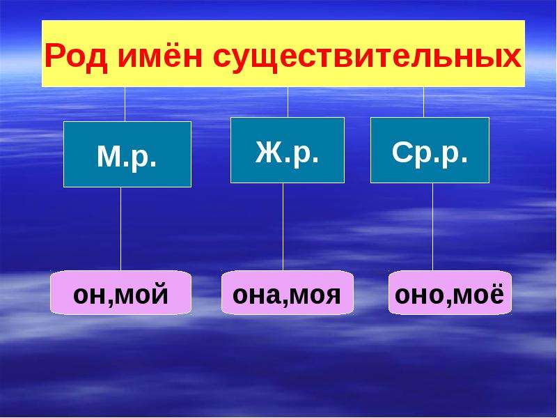 Род имен существительных 3 класс картинки